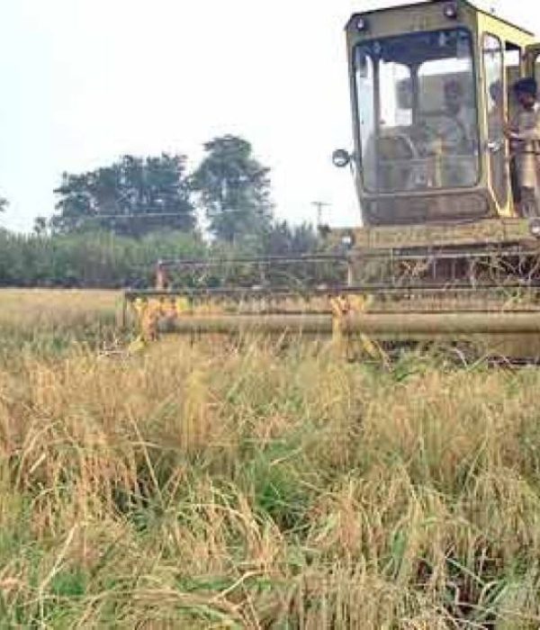 pakistan-s-agricultural-productivity-to-decrease-by-10-percent-till-2040-1572330446-2773